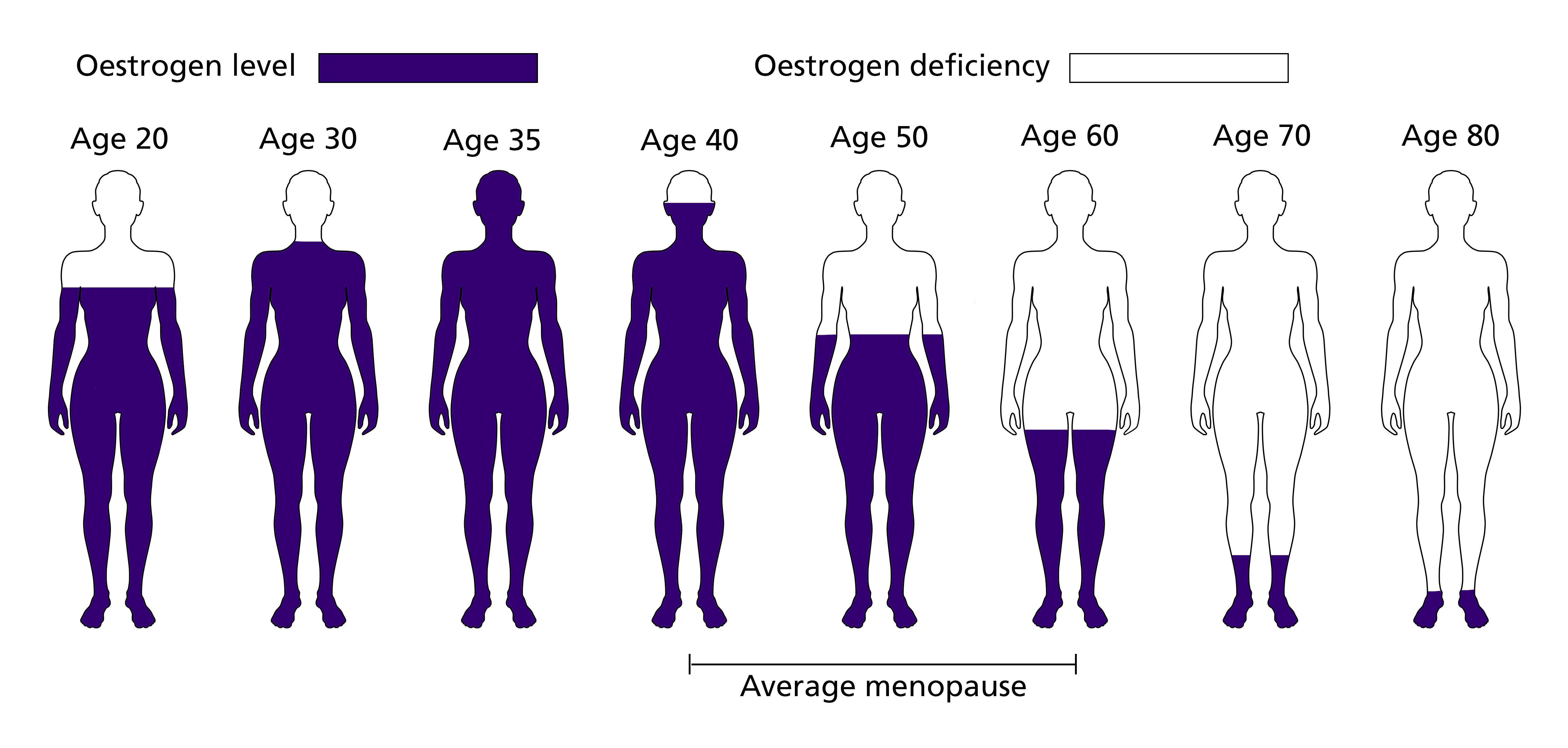 Wellbeing   Oestrogen Levels 